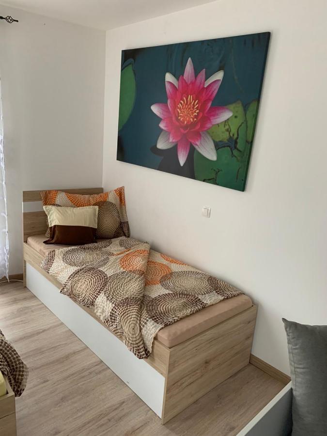 Edes Alom Guesthouse Szeged Exterior photo